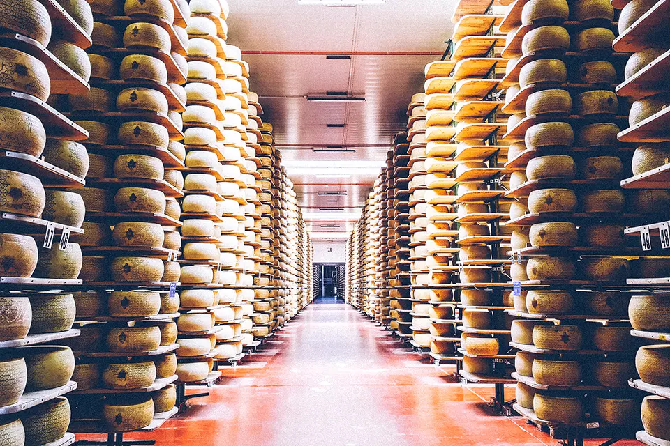 Inside a Cheese storage vault will hundreds of cheese stacked on shelves