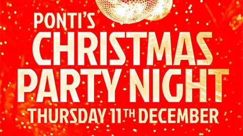 Christmas Party Event poster