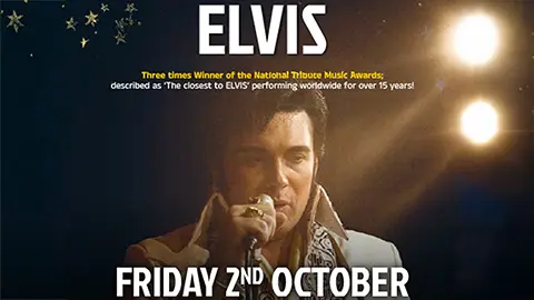 Elvis poster