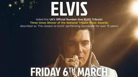 Elvis poster