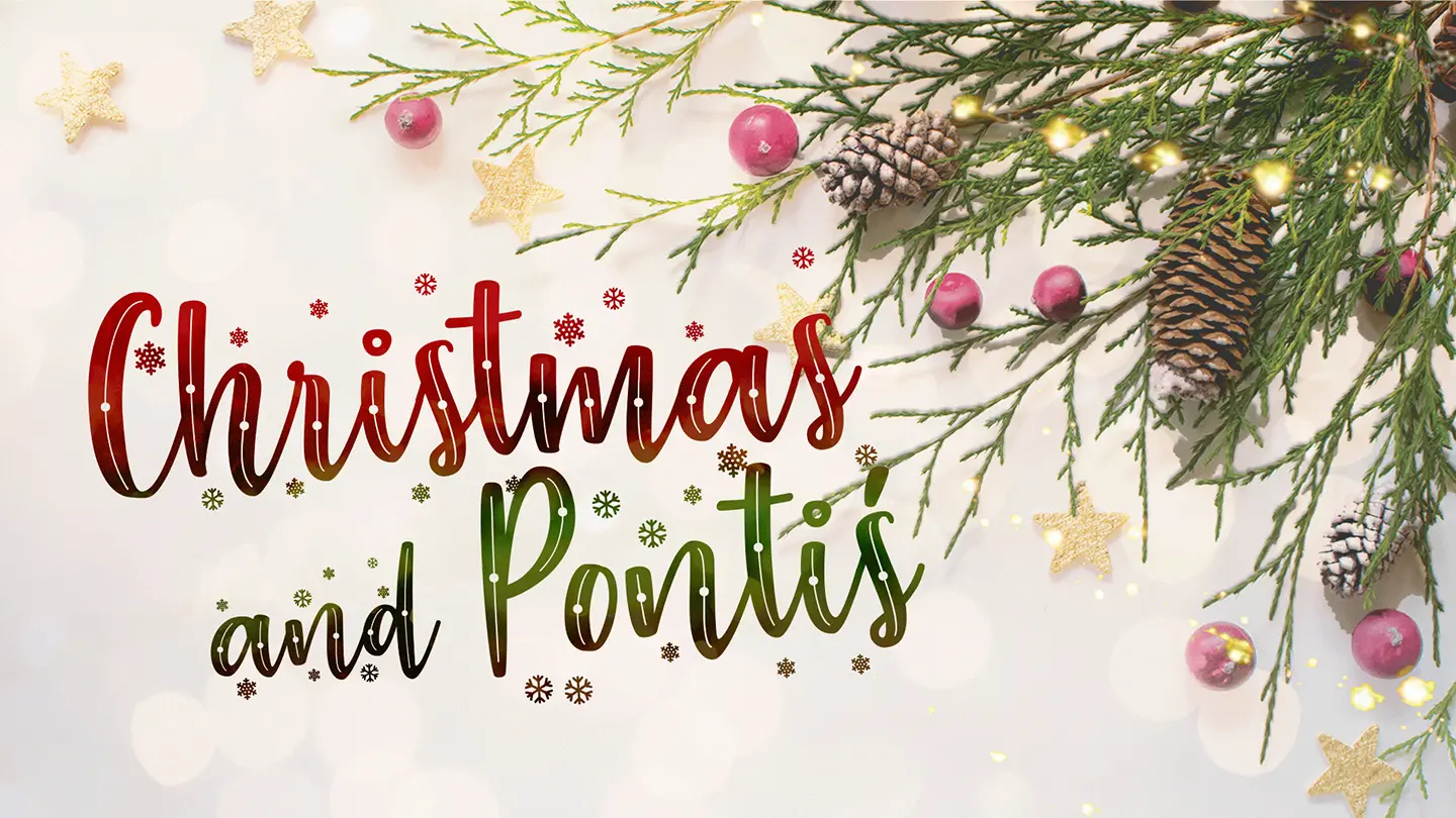 Christmas and Ponti's, surrounded by pine branches, pine cones, red berries and gold stars